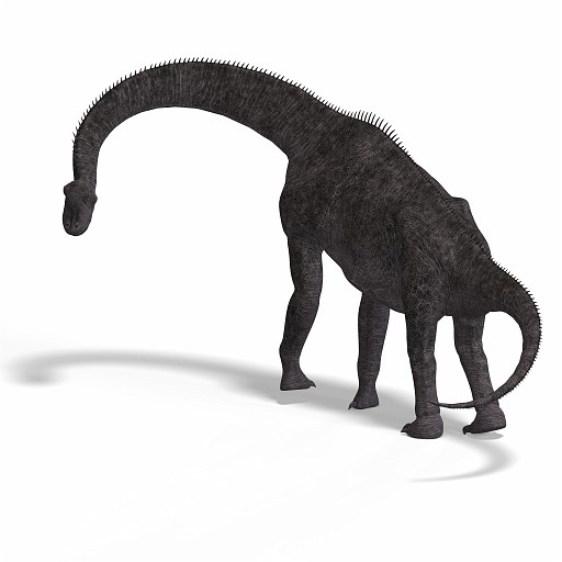 Brachiosaurus 12 A_0001.jpg - giant dinosaur brachiosaurus With Clipping Path over white